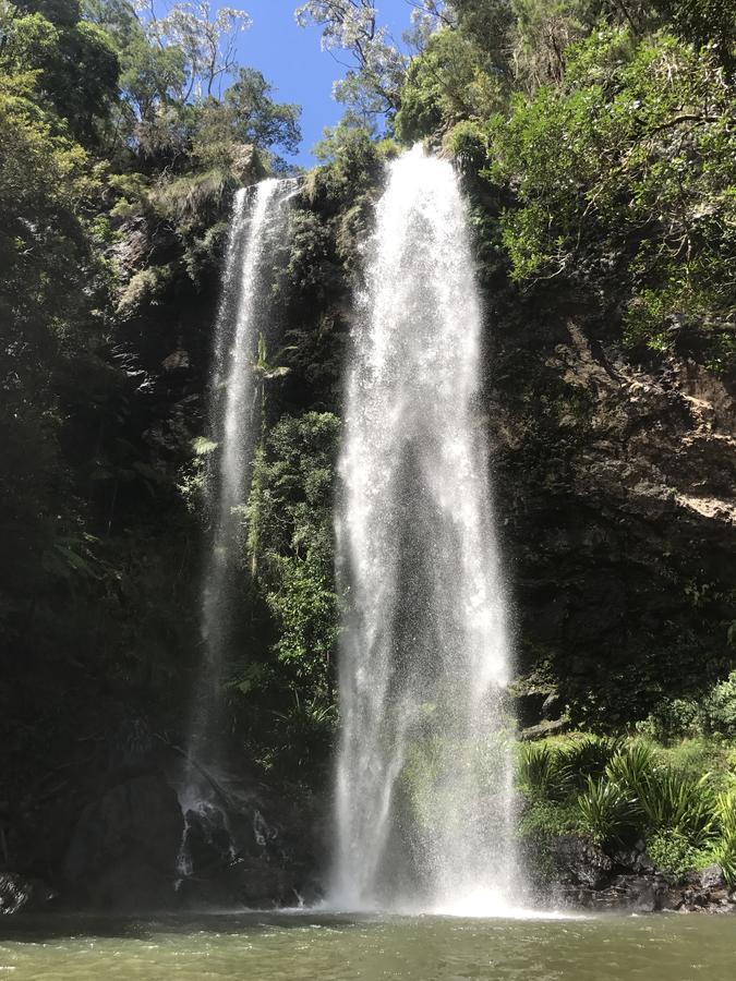 Purling Brook Falls Gwongorella Hotel Springbrook Exterior photo