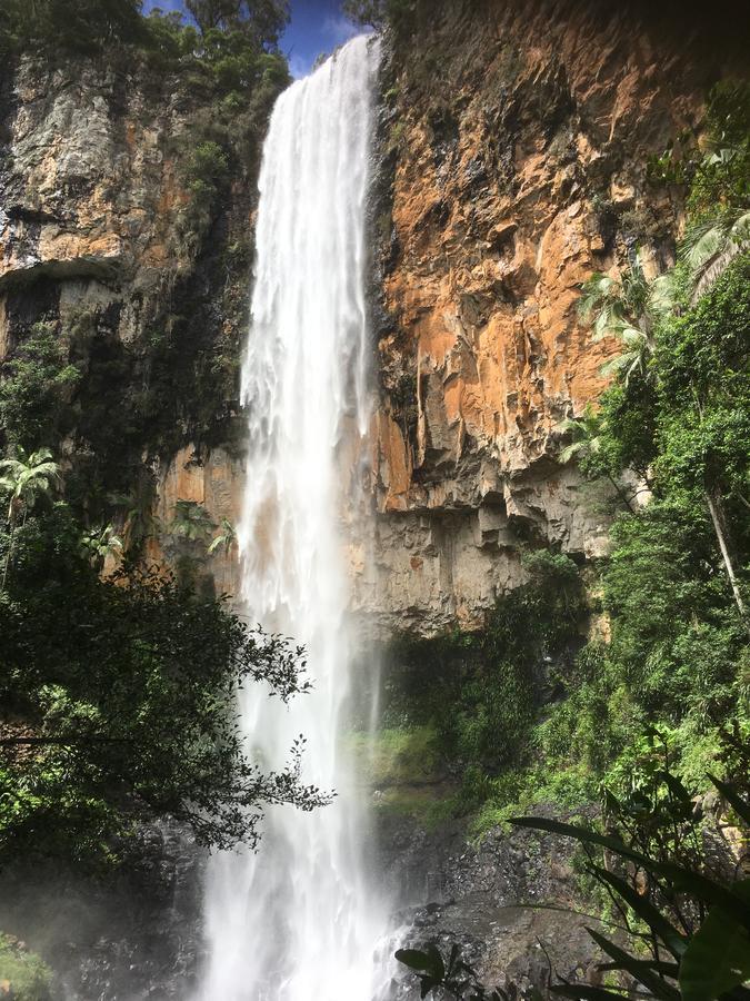 Purling Brook Falls Gwongorella Hotel Springbrook Exterior photo