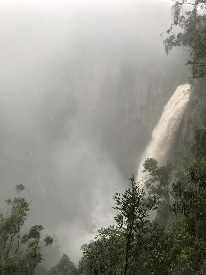 Purling Brook Falls Gwongorella Hotel Springbrook Exterior photo